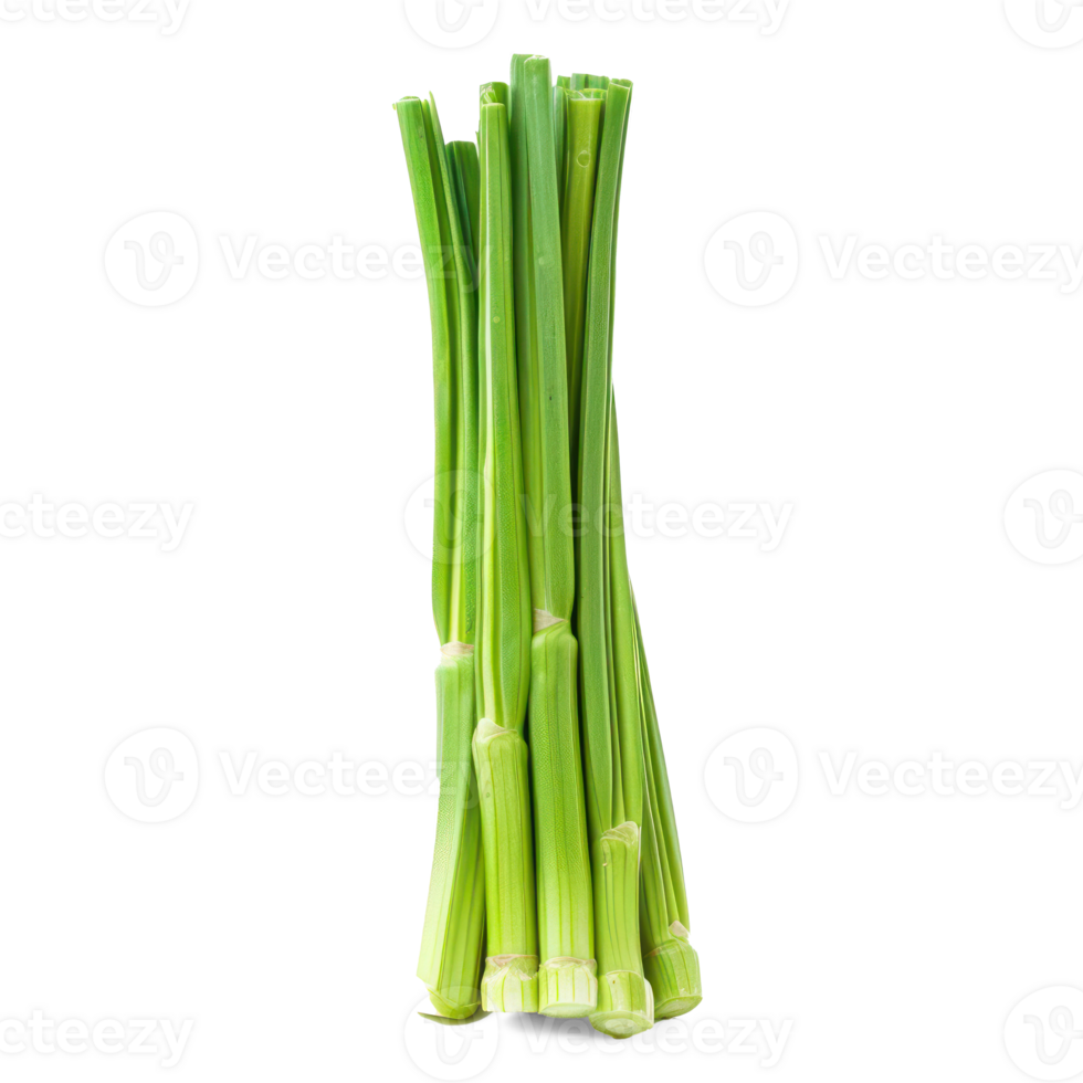 green leeks on a transparent background png