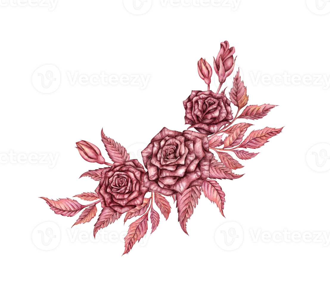 Rose with leaves and buds, burgundy gothic watercolor illustration. Halloween or Day of the Dead botanical decoration isolated from background. Composition, wreath for decoration and design. png