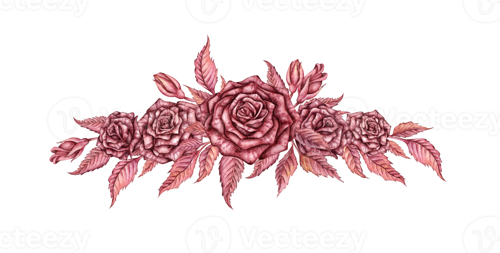 Rose with leaves and buds, burgundy gothic watercolor illustration. Halloween or Day of the Dead botanical decoration isolated from background. Composition, wreath, border for decoration and design. png