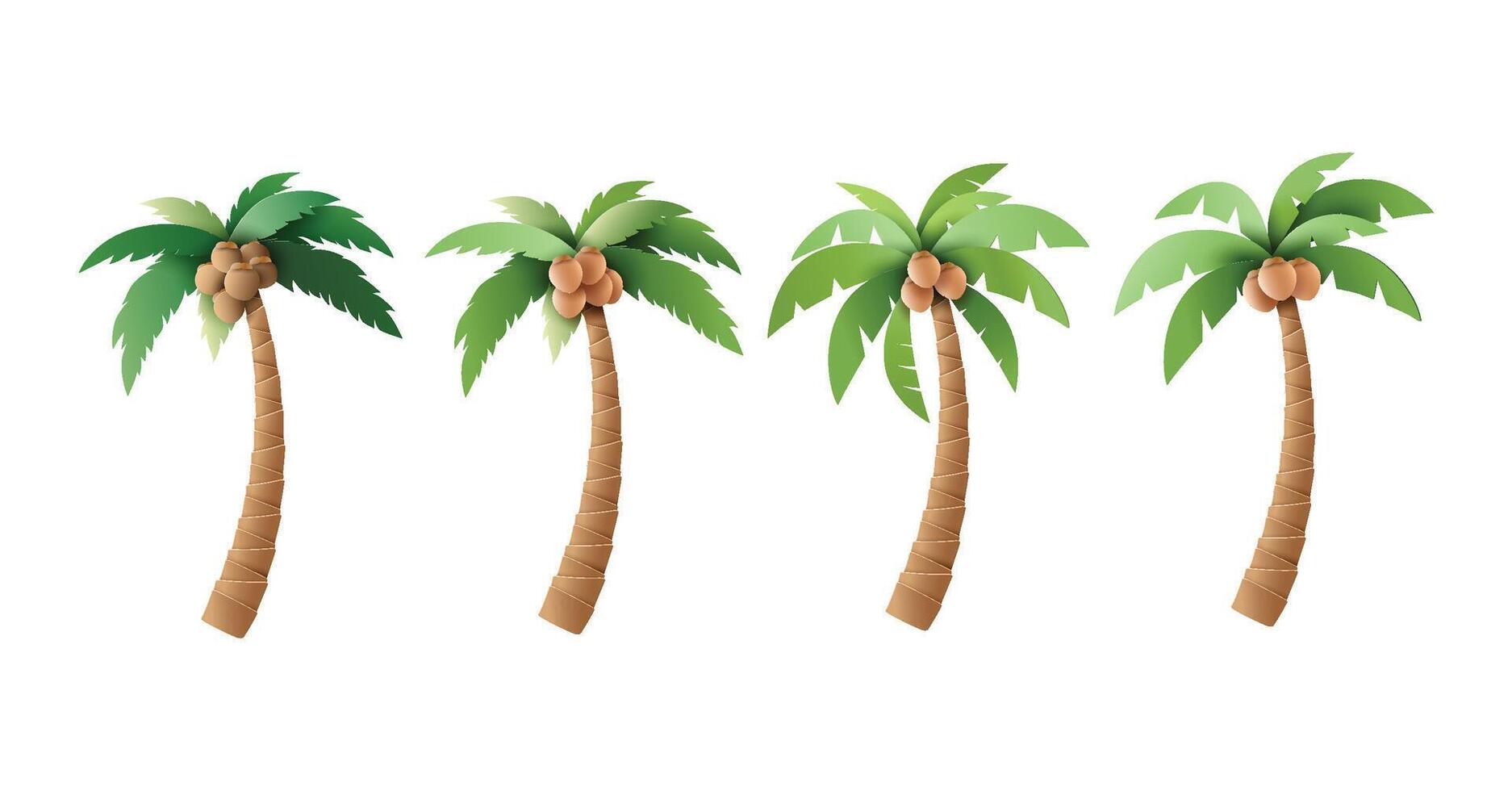 Set of Palm Trees with Coconuts Illustrations vector