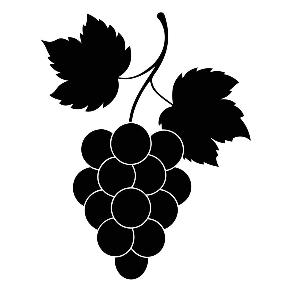 Detailed Black Silhouette of Grapes Vitis vinifera with Branch and Leaves vector