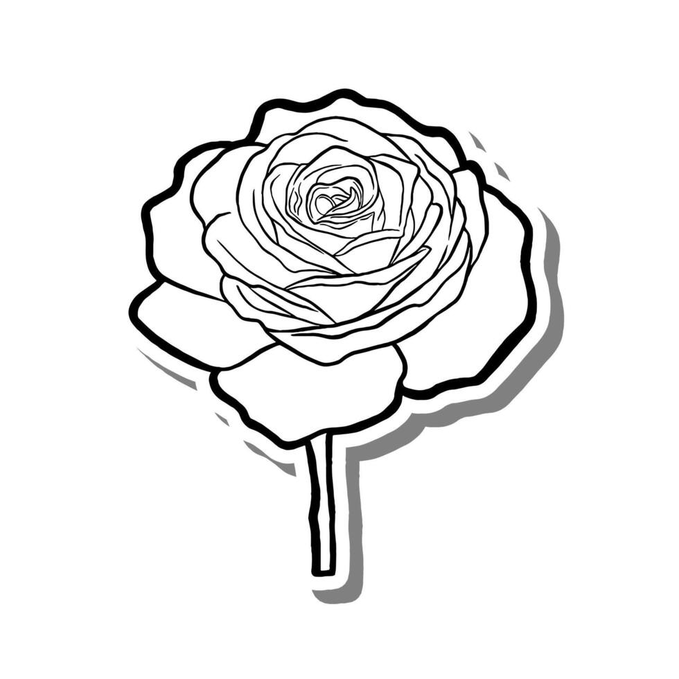 Single Rose Outline Blooming on white silhouette and gray shadow. Hand drawn cartoon style. illustration for decorate, coloring and any design. vector
