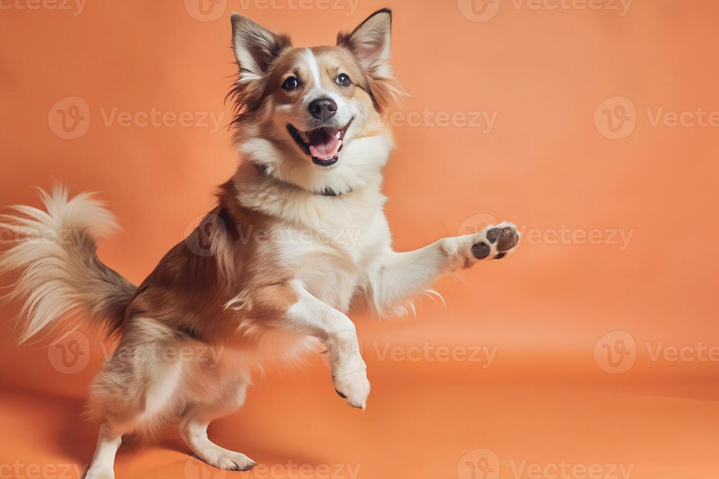 Cute smiling dog jumping and dancing with joy, fun, party, holiday, pets, copyspace, isolated photo