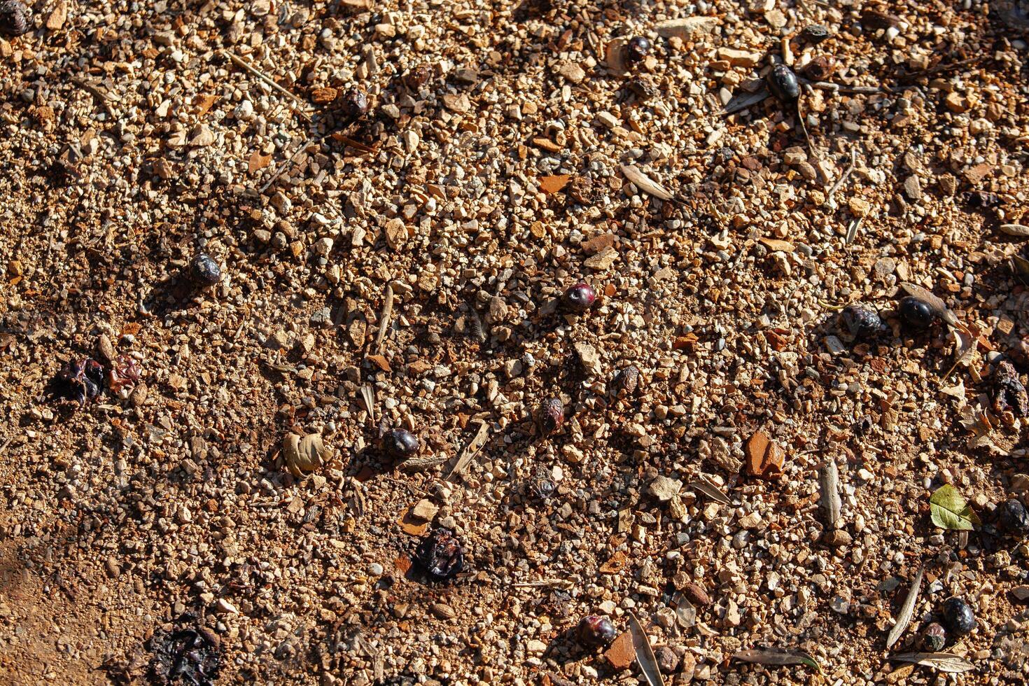 Red rocks of different shapes and sizes on the ground. Orange texture. Background. For text. For banner. Horizontal photo