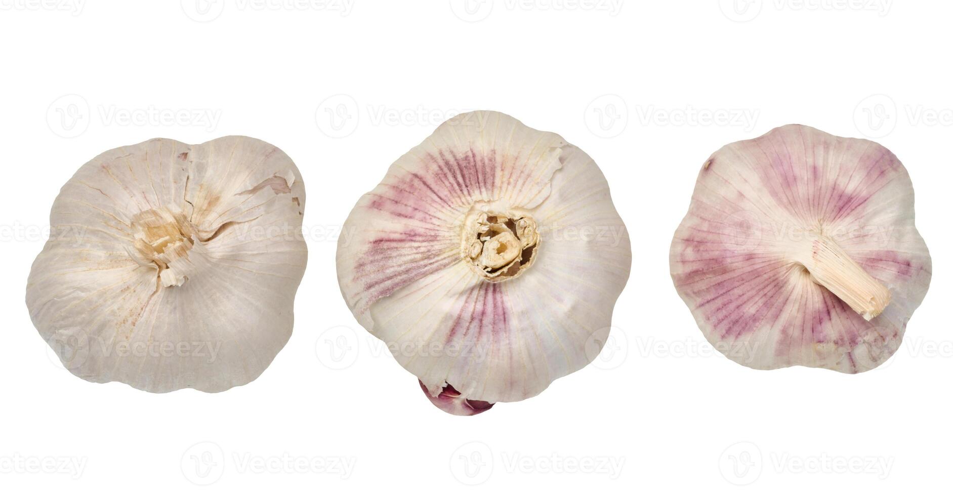 Three heads of garlic on isolated background photo
