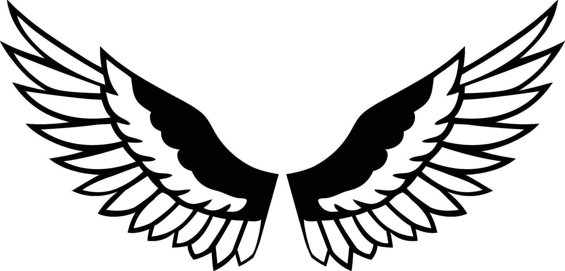 angel wings illustration vector