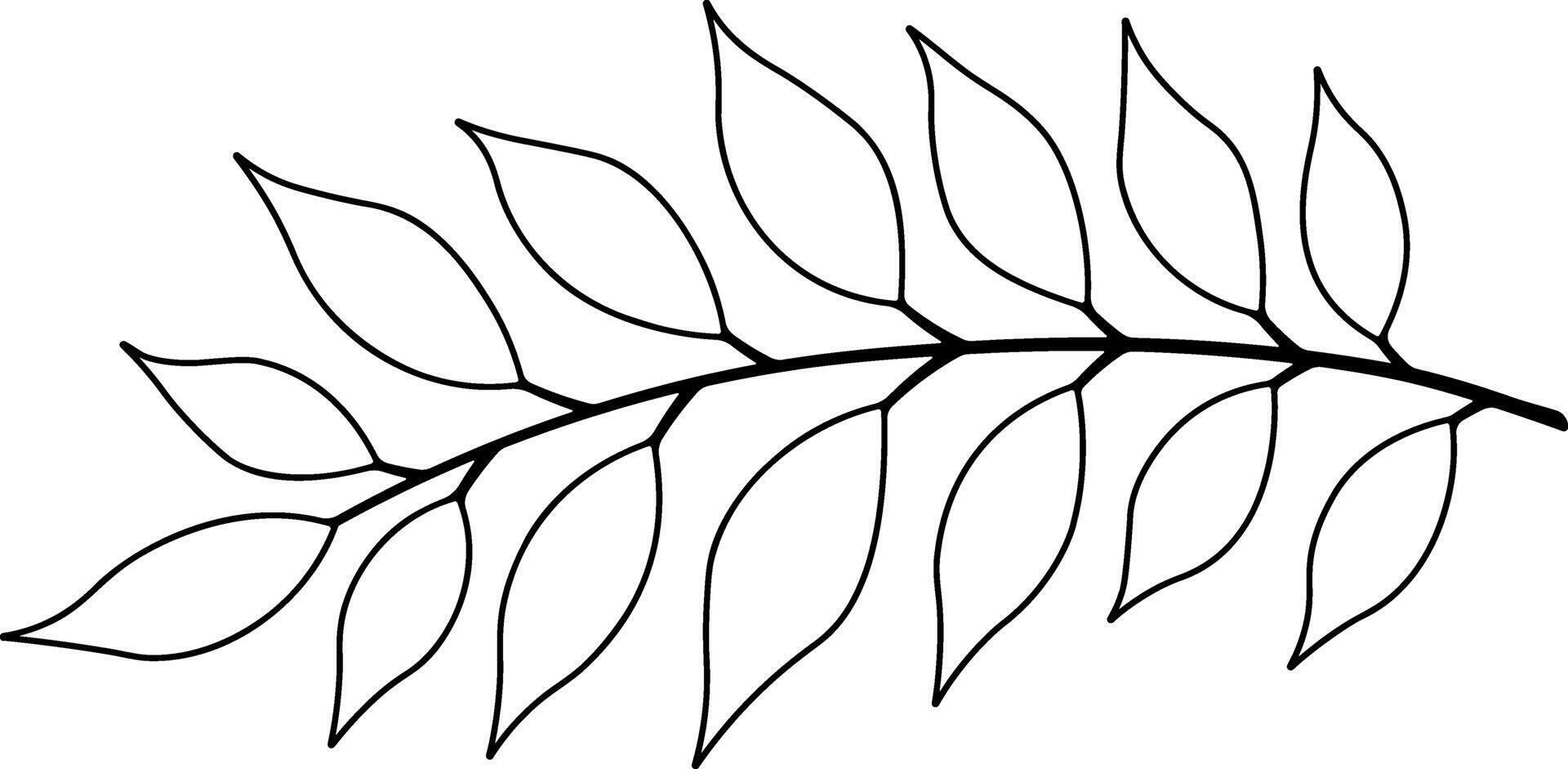 black silhouette of a branch with leaves vector