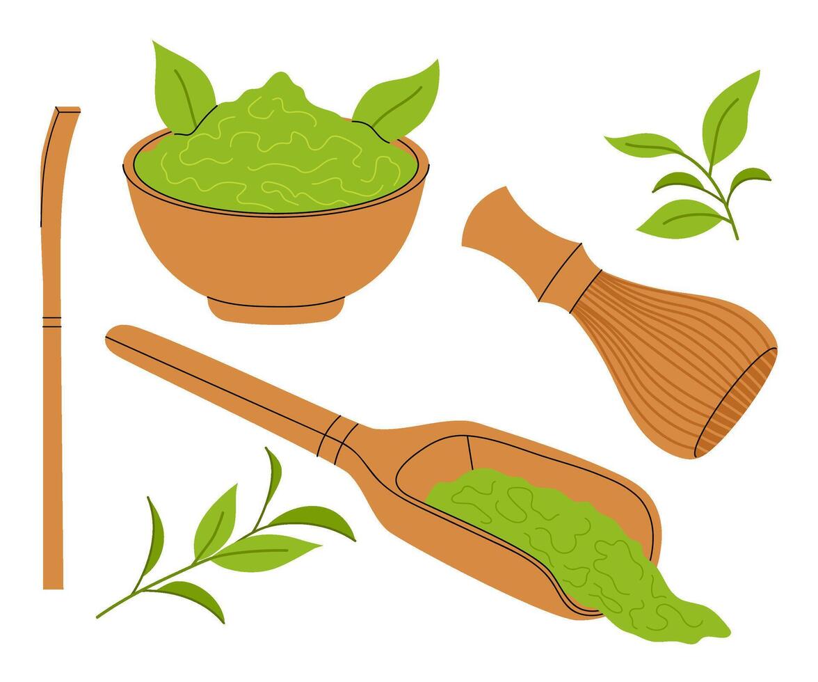 Matcha tea. Set of tools for making matcha powder. Asian culture collection. Flat illustration of beverage ingredient. vector