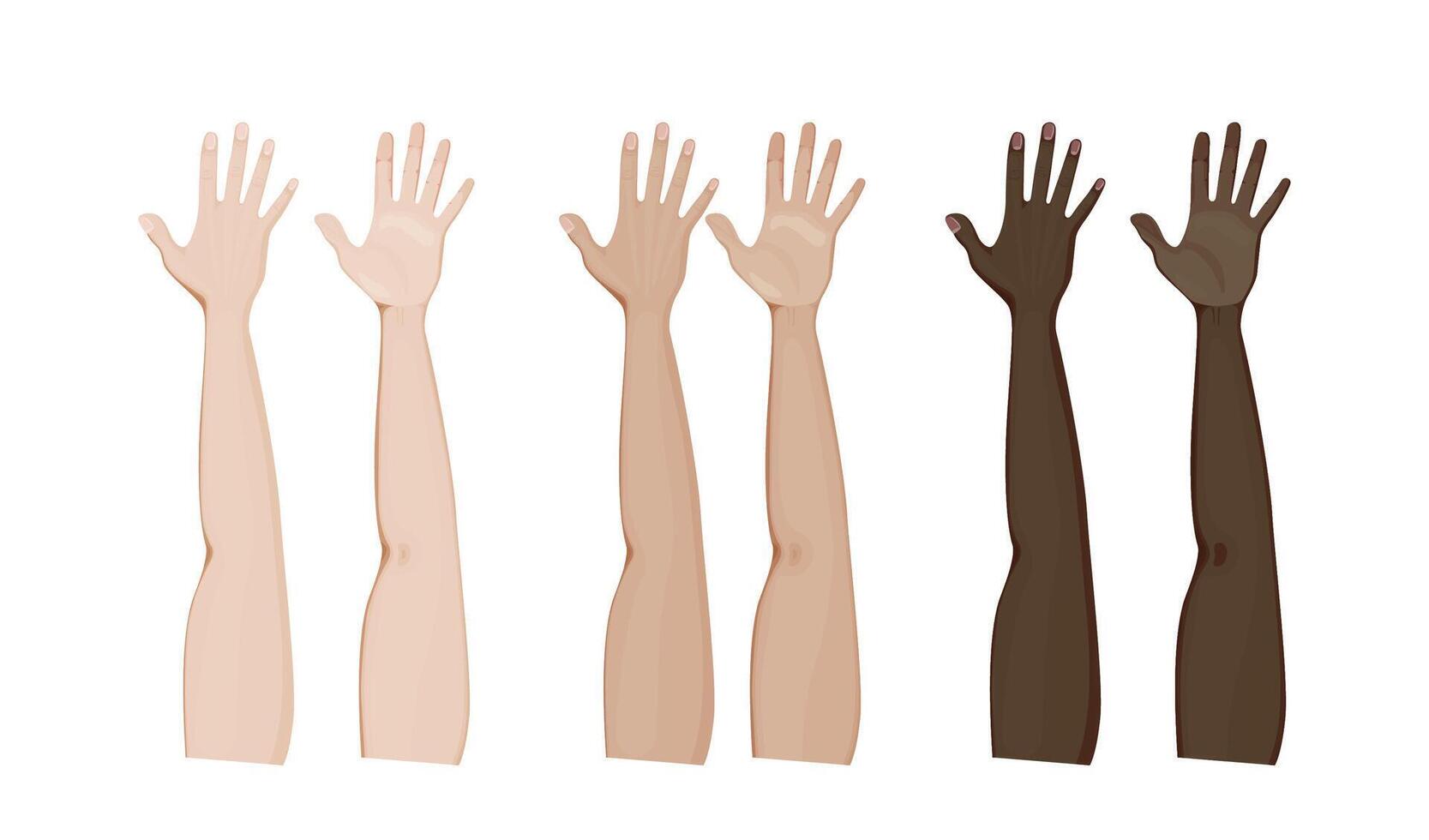 Front and palm side of arms illustration design. Different skin colors of hands vector