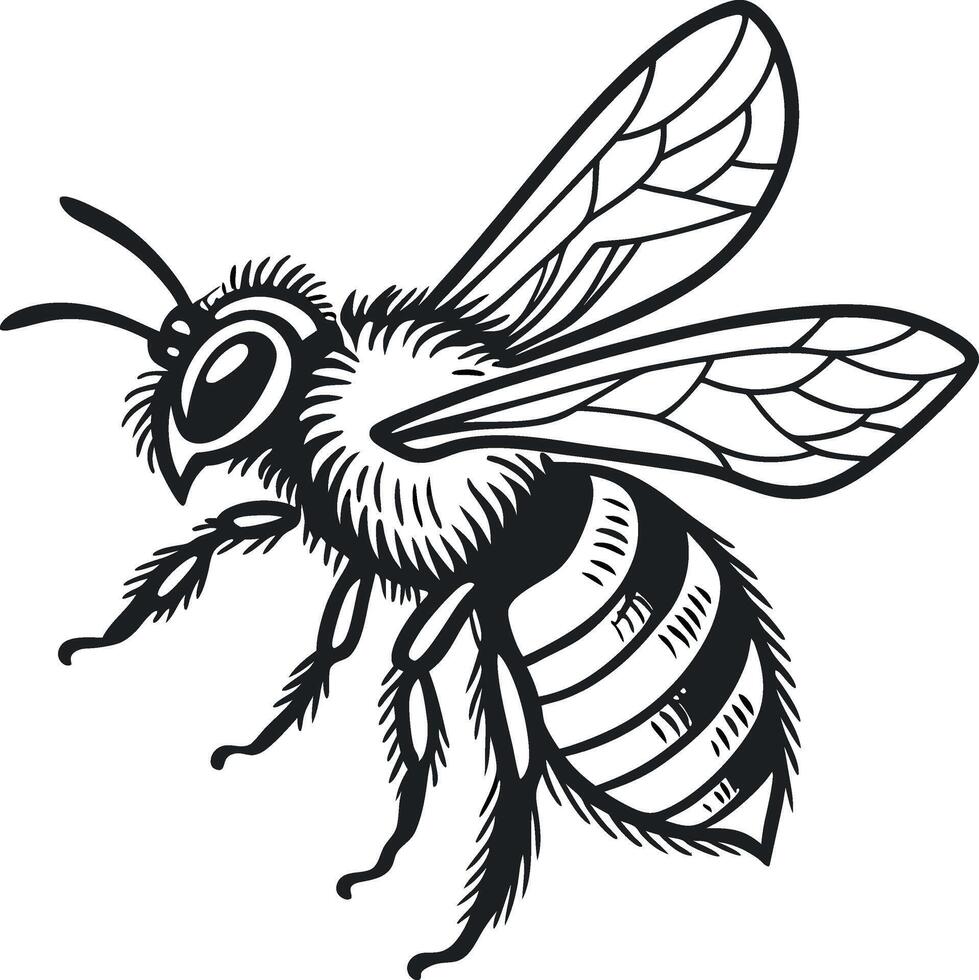 bee art illustration vector