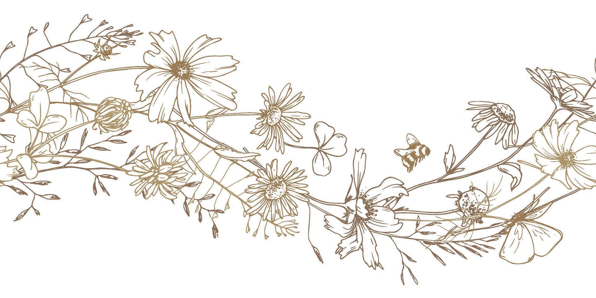 Field, meadow, wild flowers and herbs cosmos, chamomile, clover and insects. Line art is a simple hand-drawn illustration in beige, ochre, brown ink. Seamless border pattern EPS vector