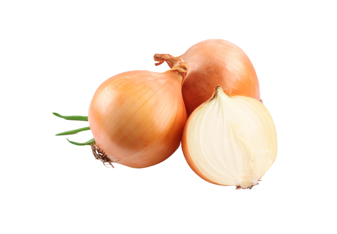 Simple Garlic Design Isolated with Transparency png