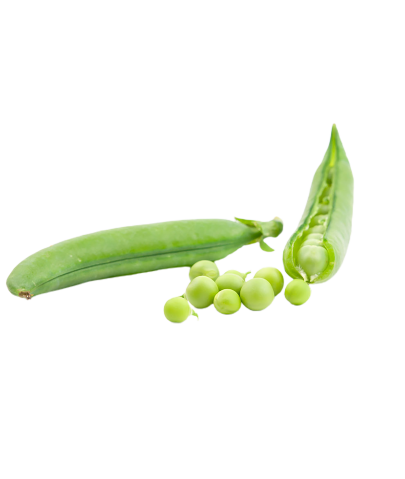 Green Peas and Beans Perfectly Isolated with Transparency png