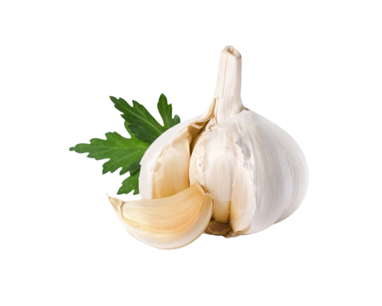 Garlic is shown on a transparent background png