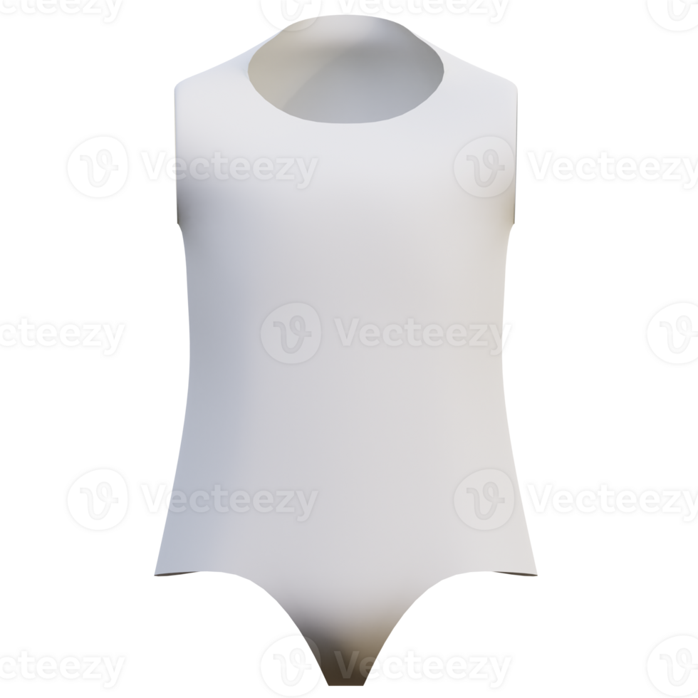 3d illustration swimsuit clothes png