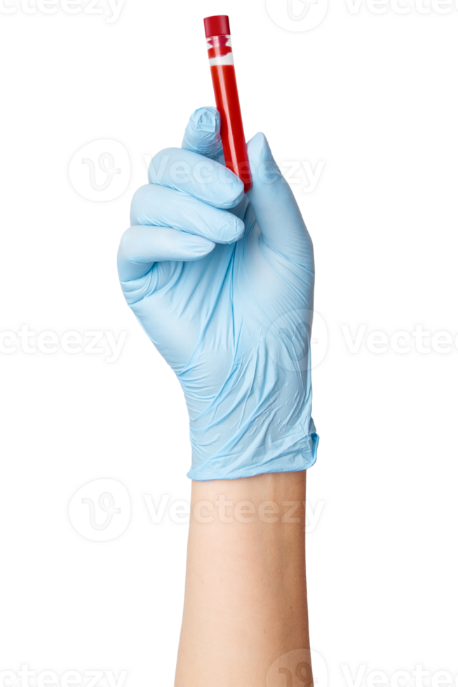 Hand in medical gloves holding a test tube with blood on an empty background. Medical testing, laboratory analysis, healthcare diagnostics. png