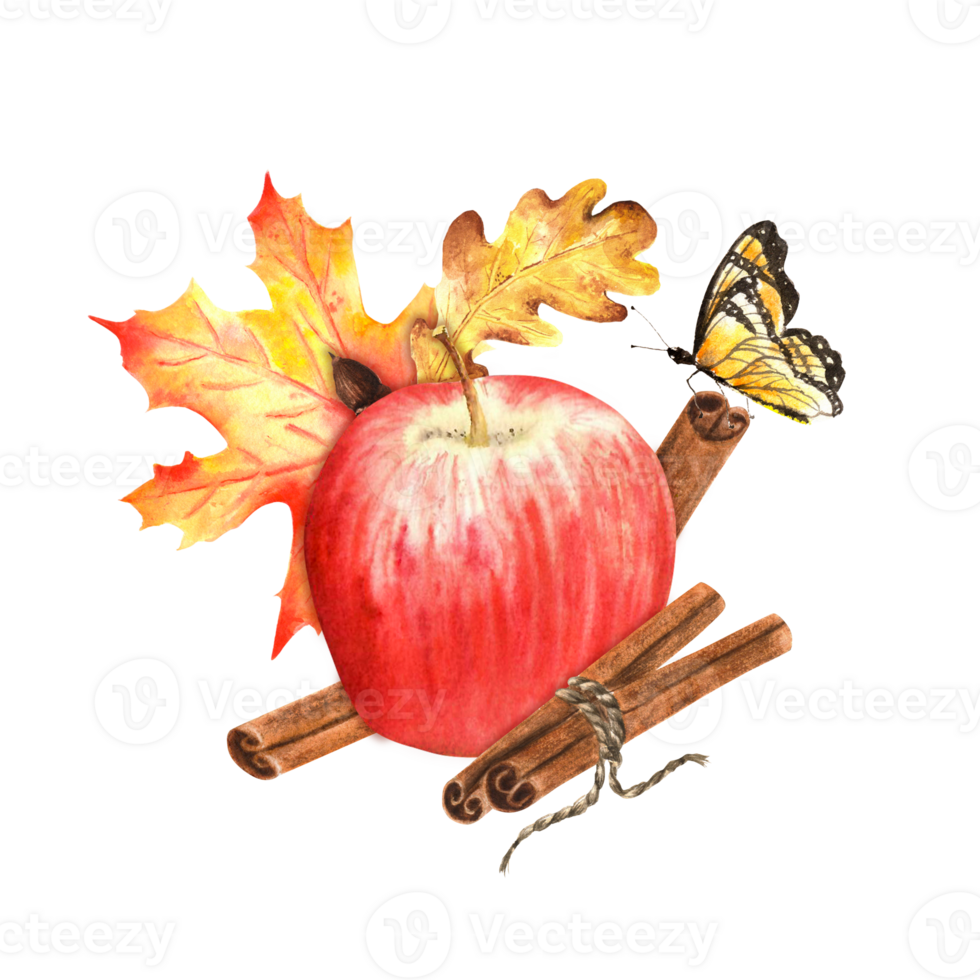 Red apple with bright oak and maple leaves, cinnamon sticks and a butterfly. Autumn. Fall clipart. Hand-drawn watercolor illustration png