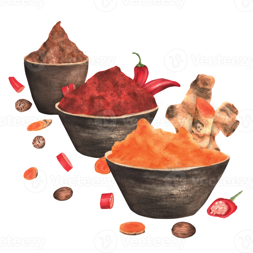 Turmeric, paprika, nutmeg in ceramic bowls and slices. Kitchen clipart. Spices. Hand-drawn watercolor illustrations. png