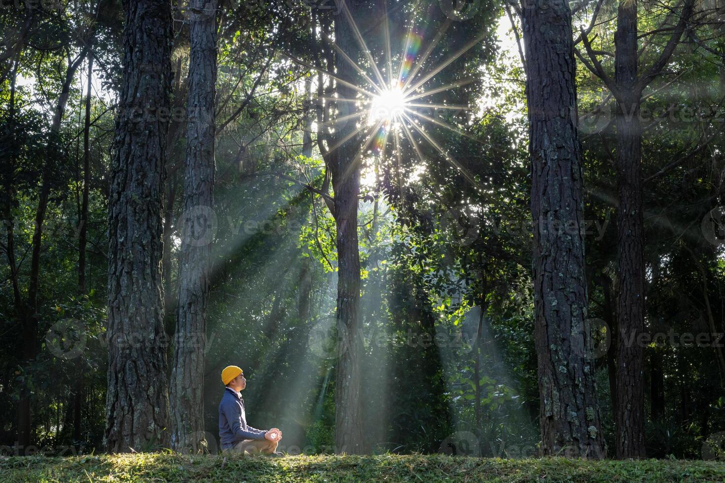 Man relaxingly practicing meditation in pine forest to attain happiness from inner peace wisdom with beam of sun light for healthy mind and soul for healthy mind and soul photo