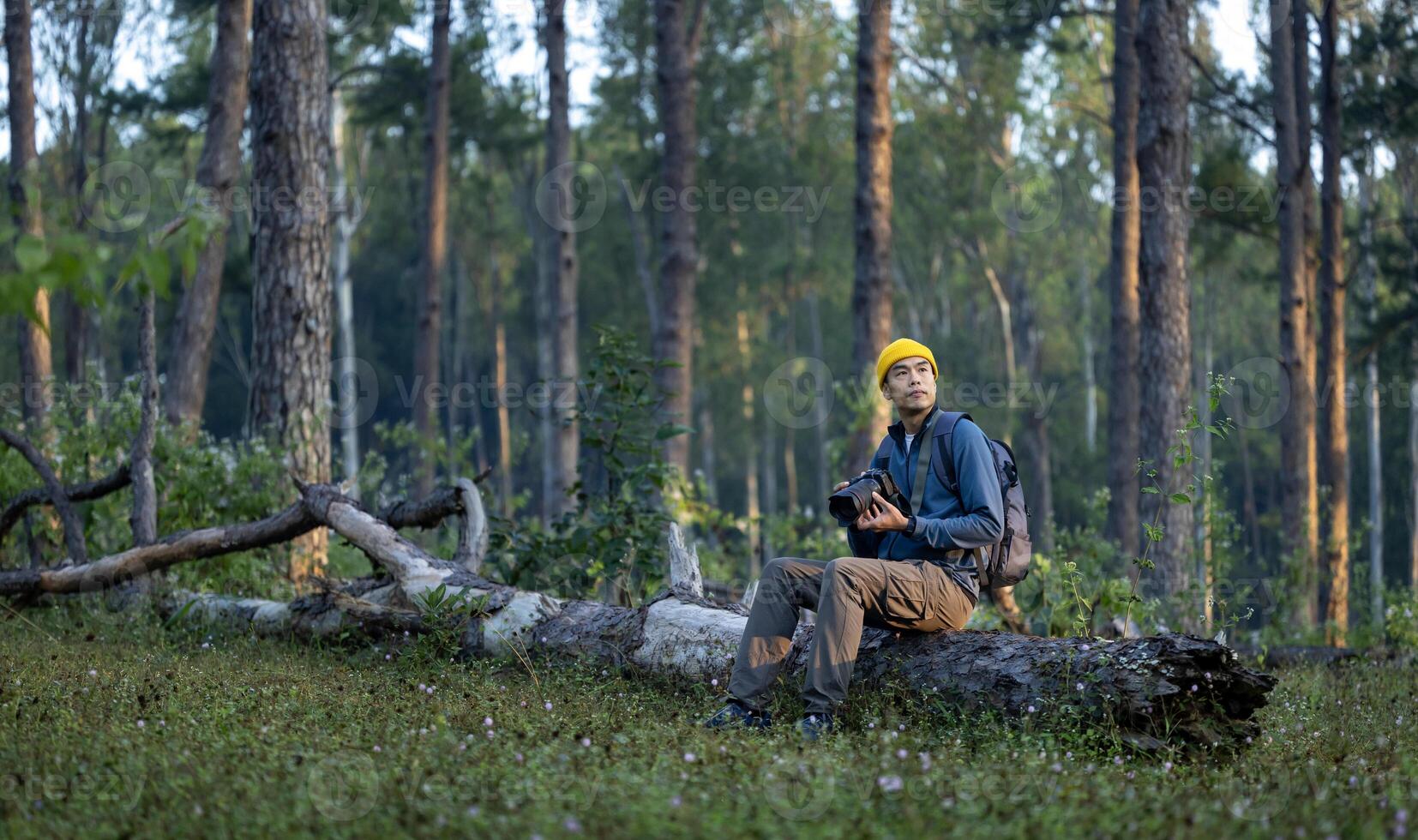 Asian photographer is taking photo of the new discovering bird species while exploring in the pine forest for surveying and locating rare biological diversity and ecologist on field study