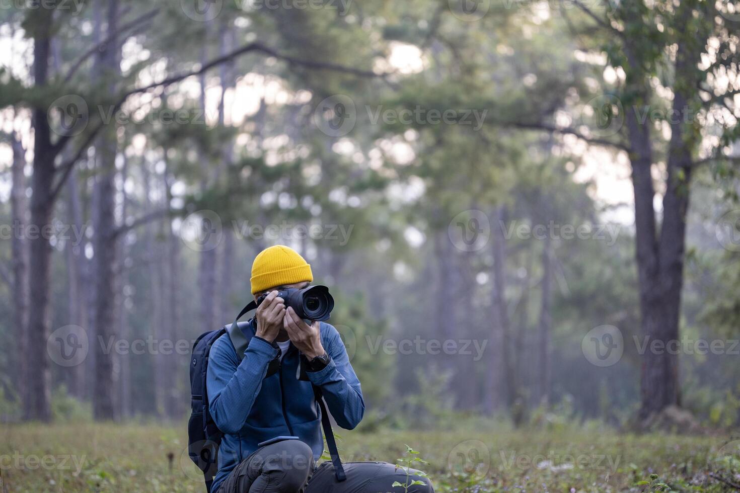 Photographer is sitting and taking photo of the new discovering bird species while exploring in the pine forest for surveying and locating rare biological diversity and ecologist on field study