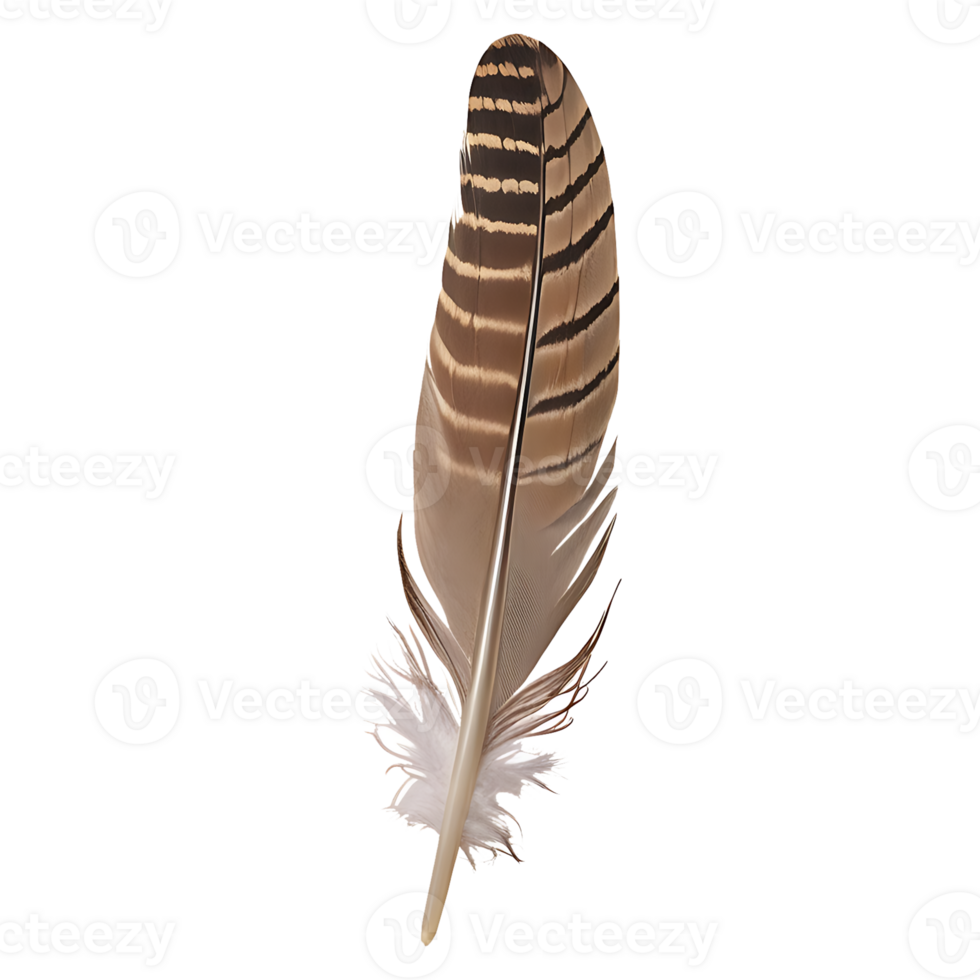 feather Icon transparent background png