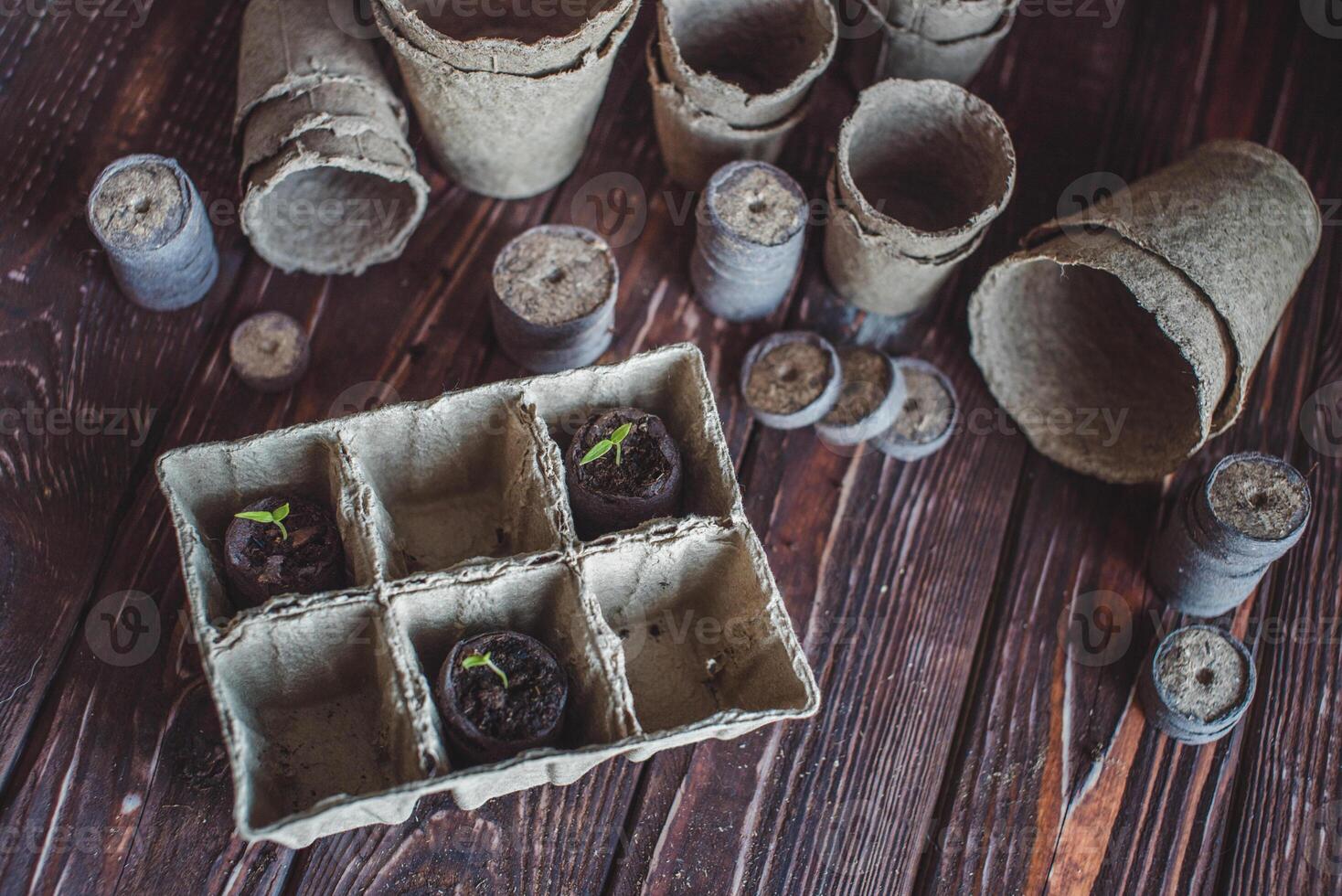 Biodegradable peat pots, peat tablets and pepper sprouts germinated in peat tablets on a wooden background. photo