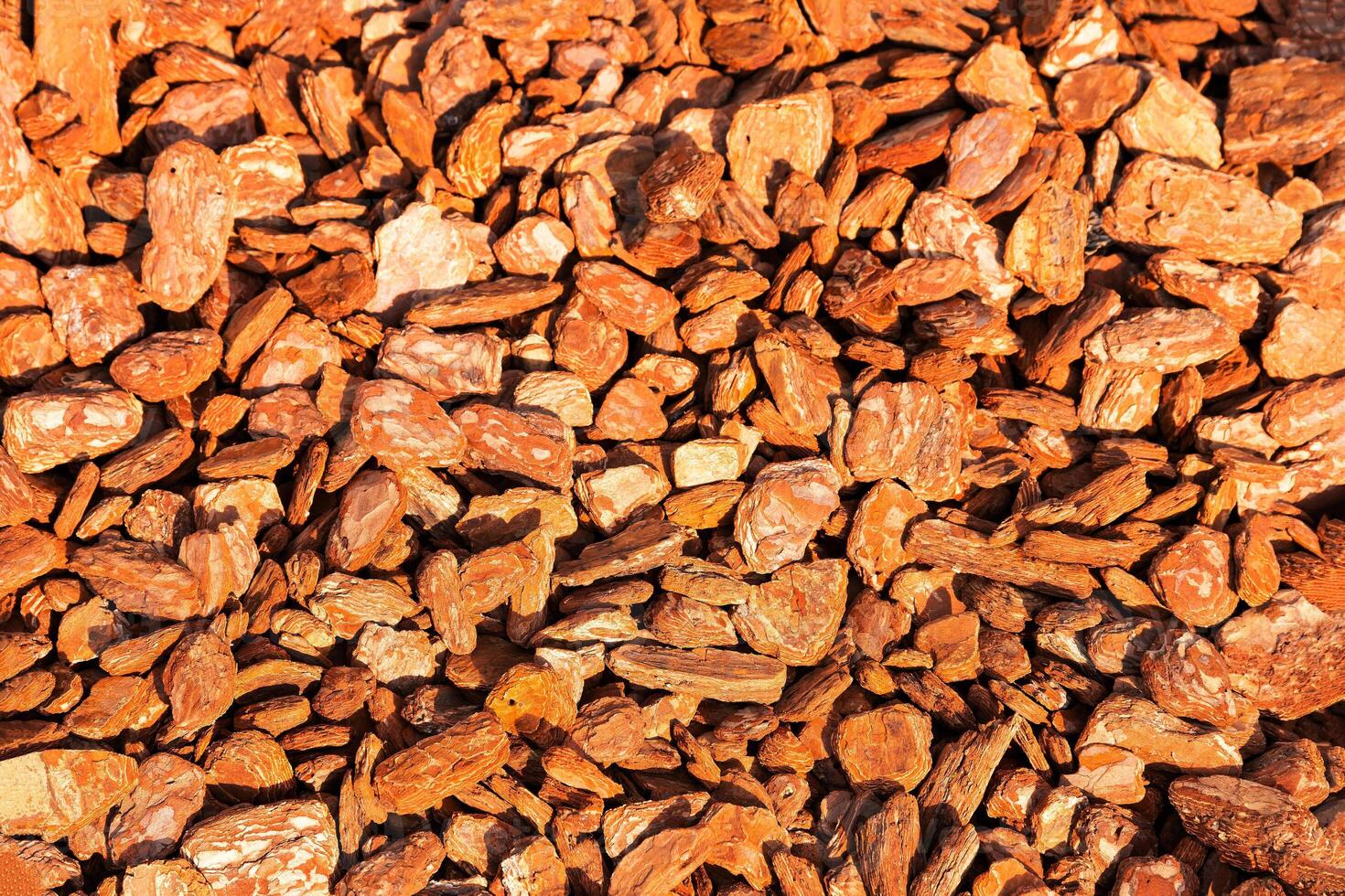 Crushed tree bark. Background. Copy space photo