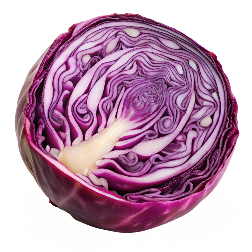 A close up of a purple cabbage png