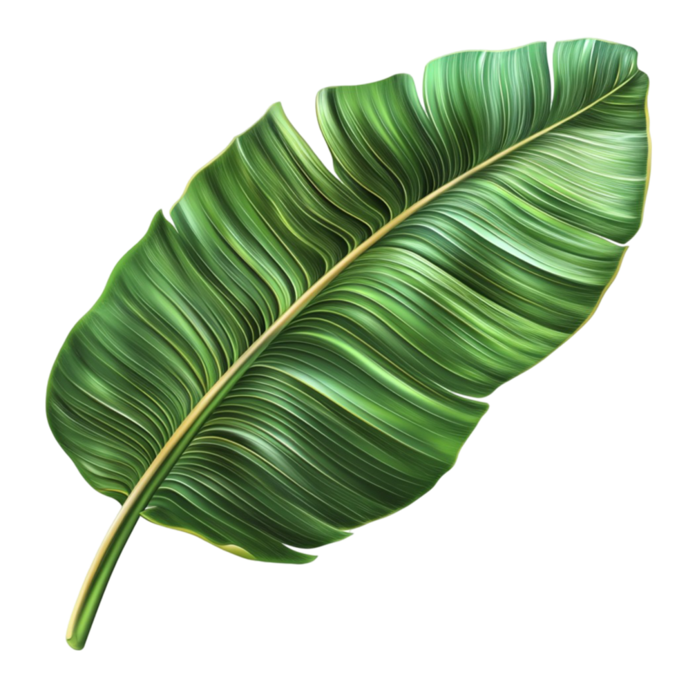 Banana Leaf on Transparent Background png