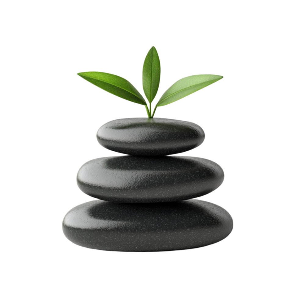 Stack of Black Stones with Green Leaves on Top on Transparent Background png