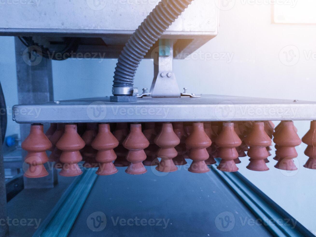 The suction cups eggs on the poultry hatchery machine for eggs candling and selection. Actuator pneumatic system on the Automatic eggs candling machine.Hatchery technology. photo