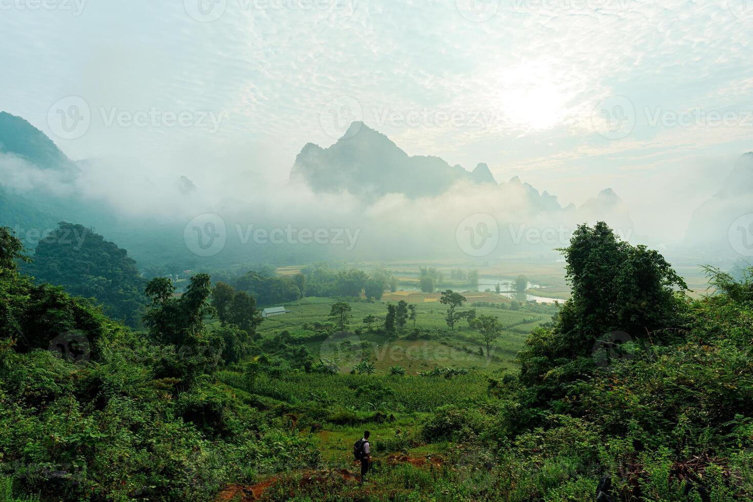 Lush forest with foggy mountain in Phong Nam Valley at the morning photo