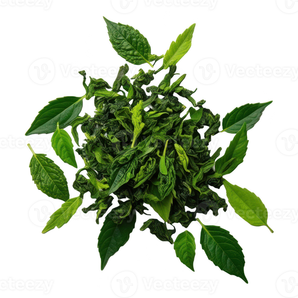 Green tea leaves isolated on transparent background png