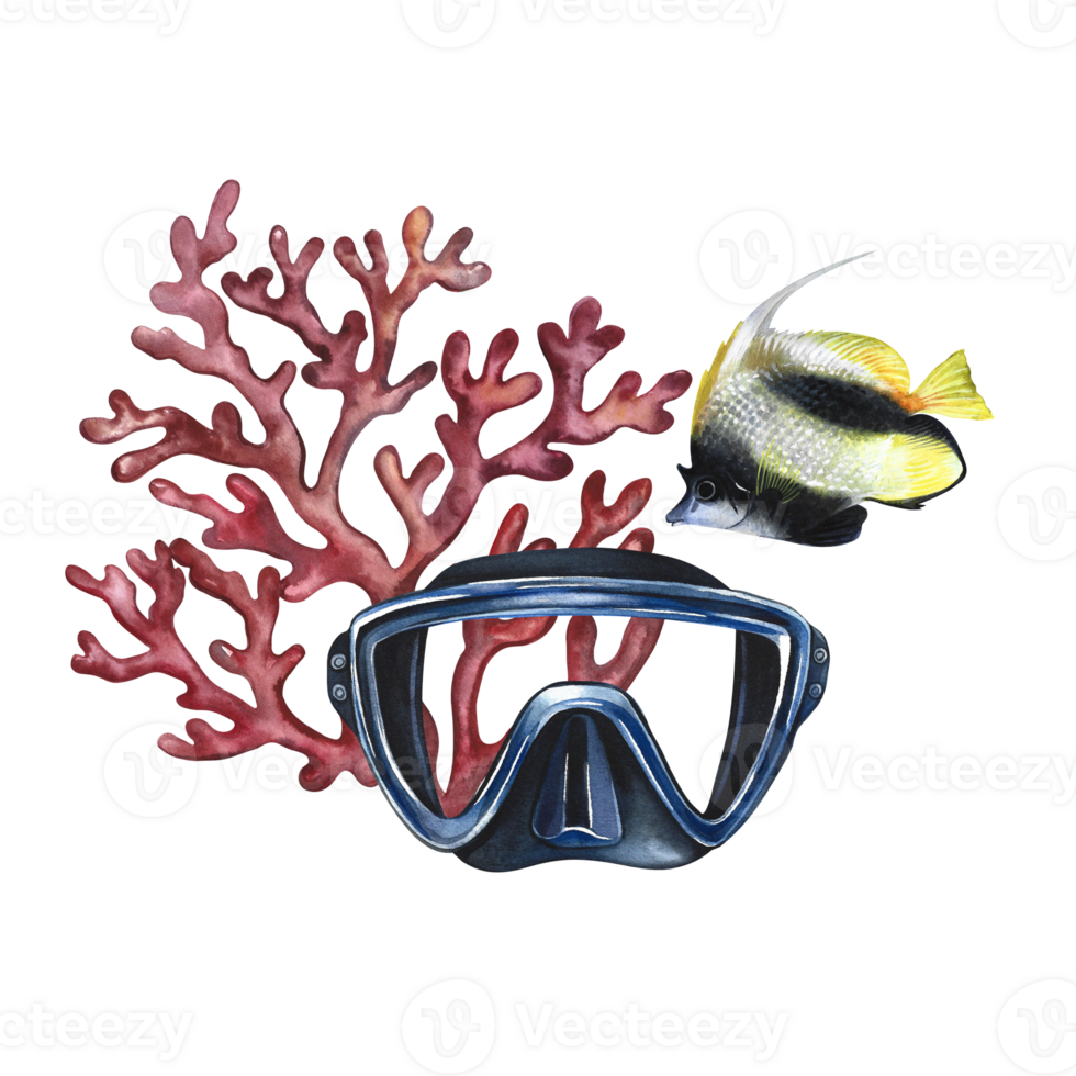 Marine, coral fish, coral and diver's mask. A hand-drawn watercolor illustration. Isolate. For postcards, prints, stickers and flyers. For banners and posters and business cards. png