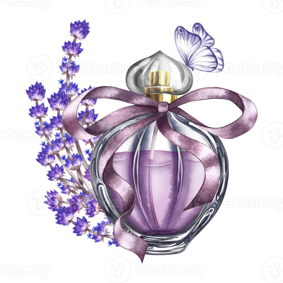 A bottle of lavender perfume made of transparent glass. Purple perfume with a ribbon bow. A watercolor illustration made by hand. Isolate her. For packaging, postcards and labels, flyers and posters. png