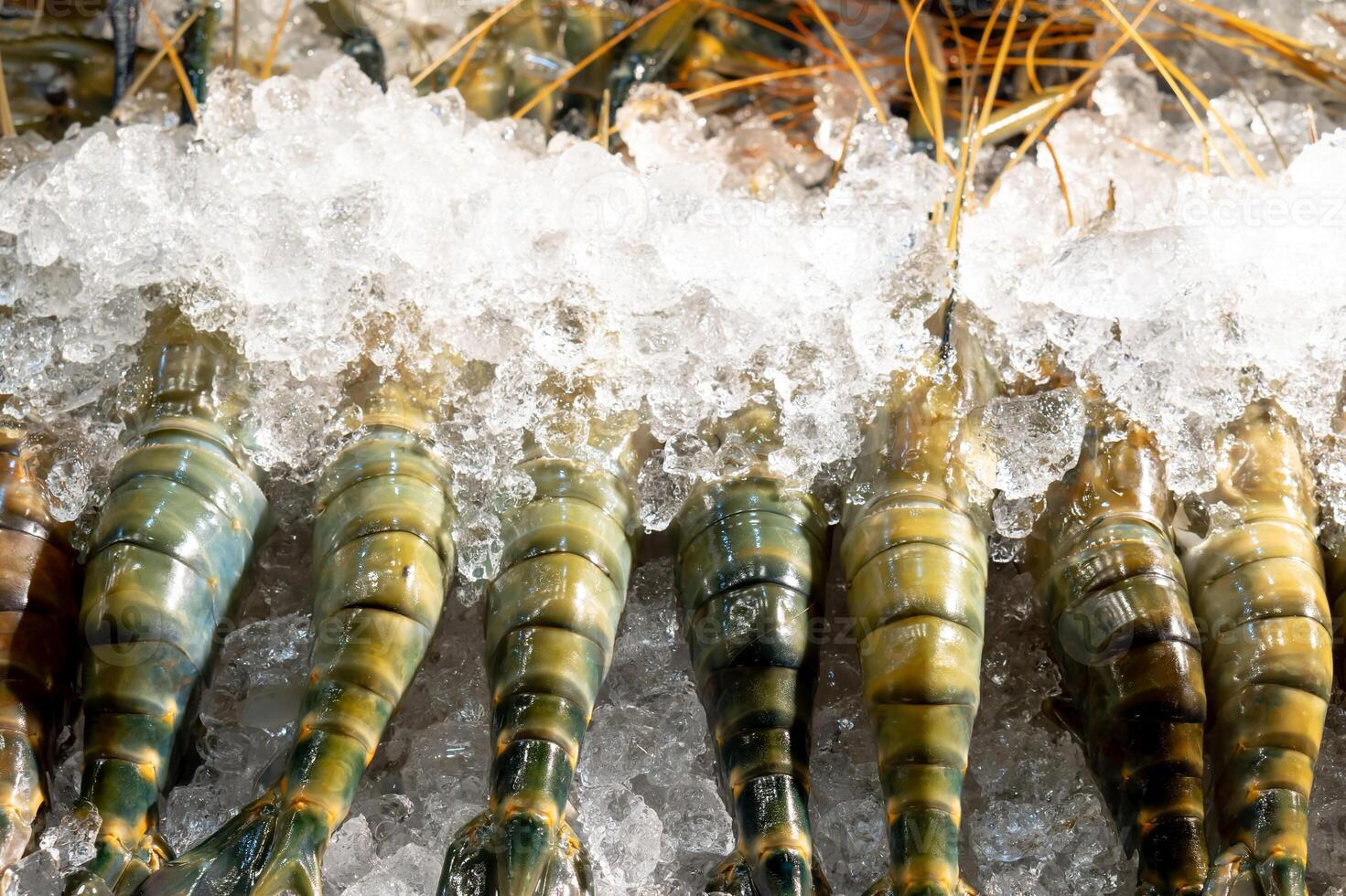 Fresh giant freshwater prawns or lobsters in stack frozen in ice stack on sale in stall in Thai market photo