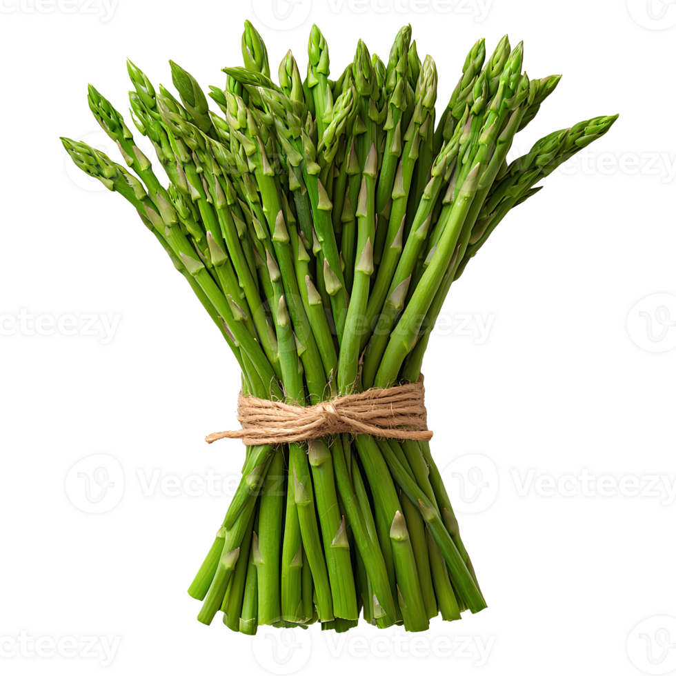 Bunch of asparagus . Asparagus . Asparagus top view isolated. Fresh green asparagus spears flat lay isolated. Organic asparagus vegetable as vegan and vegetarian food png