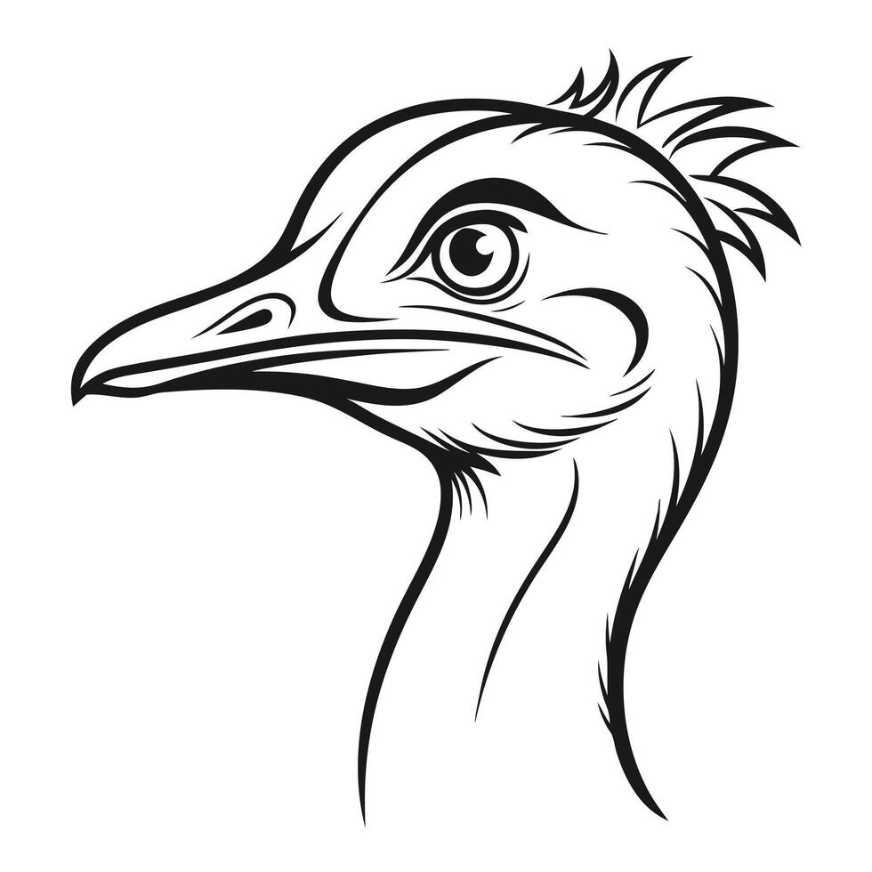 An ostrich head in a black and white drawing vector