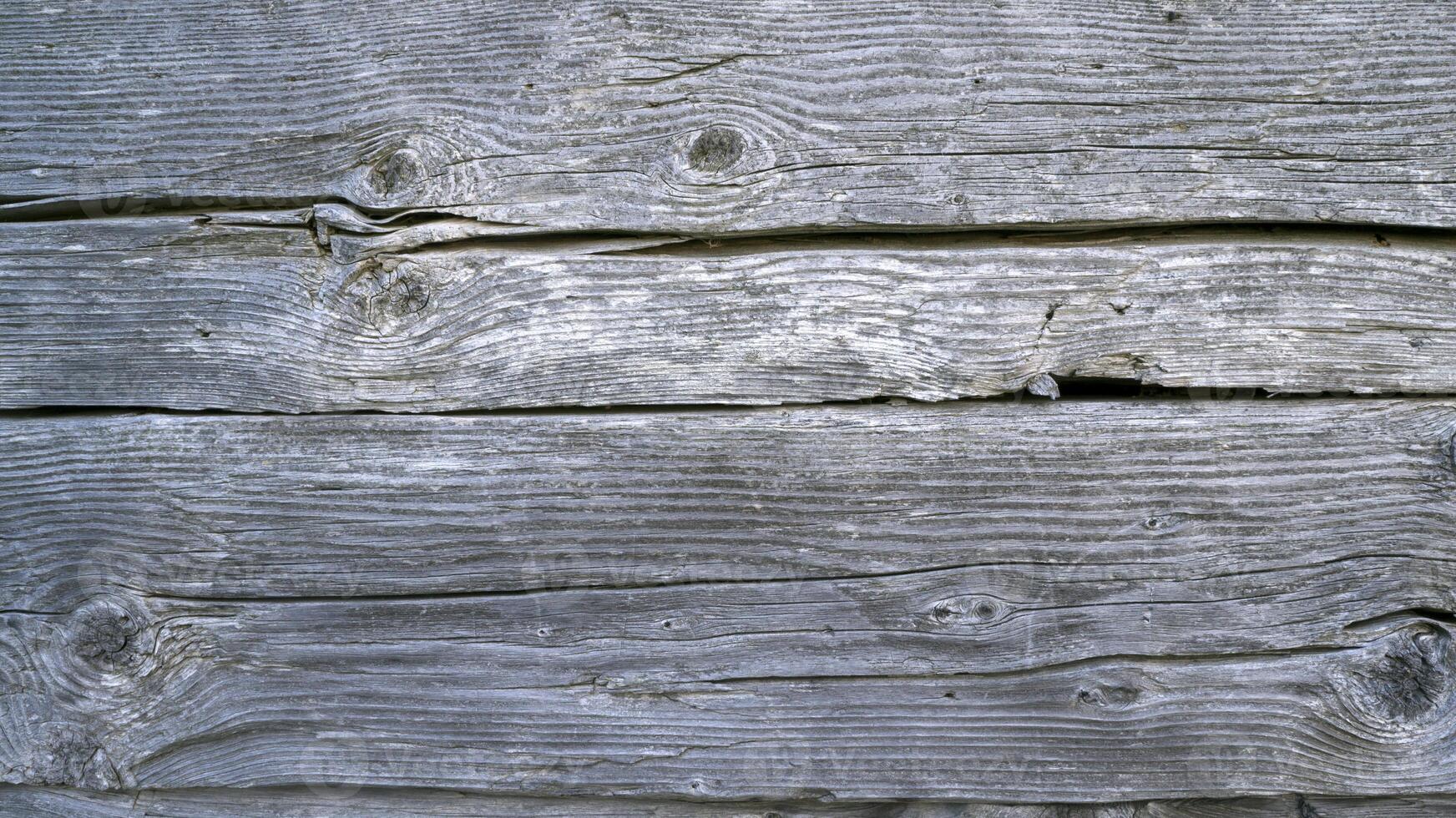 Wood Texture Background photo