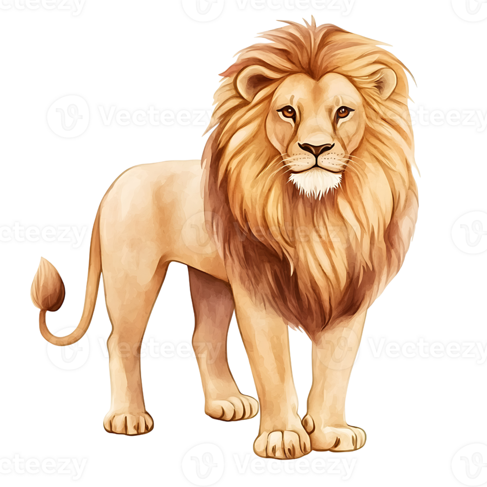 majestic lion with flowing mane stands confidently png