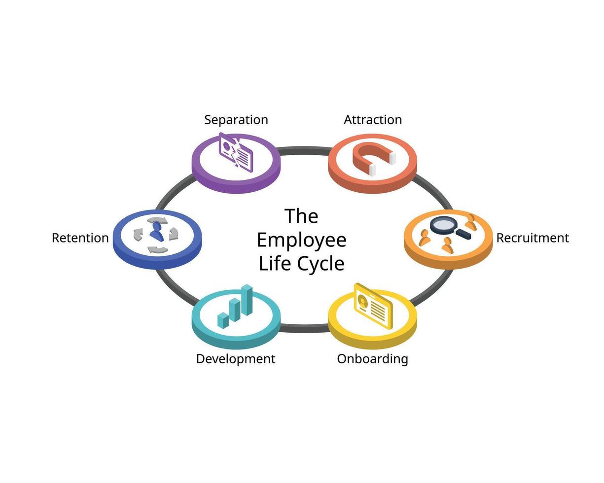The employee lifecycle model or ELM is a model designed for journey an employee takes for attraction, recruitment, onboarding, retention, development, separation vector