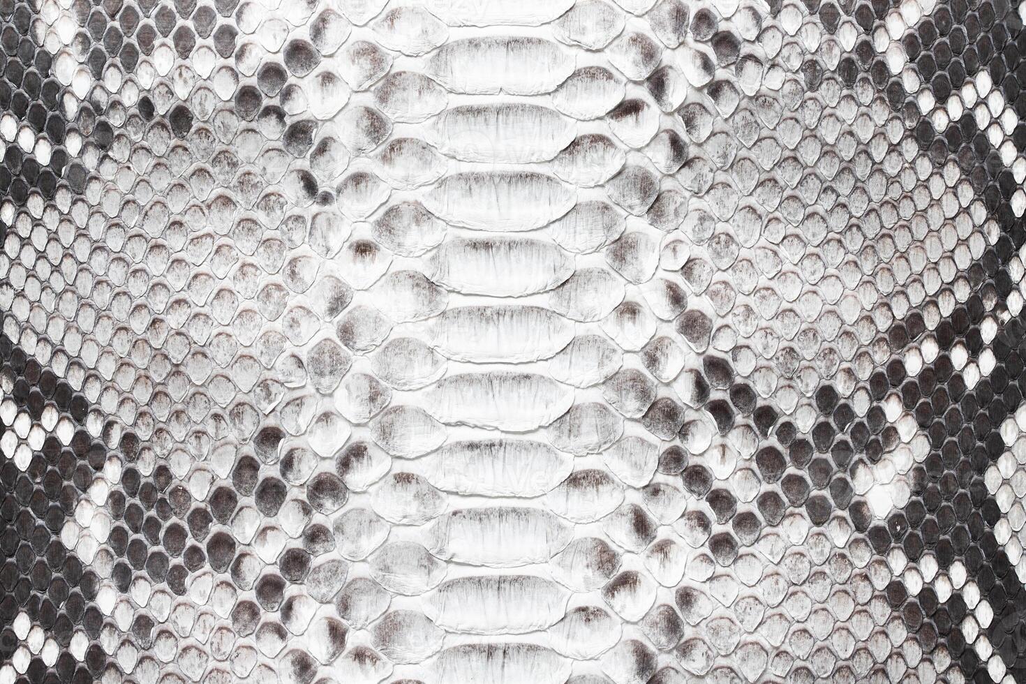 scaly texture of leather background, luxury python skin photo