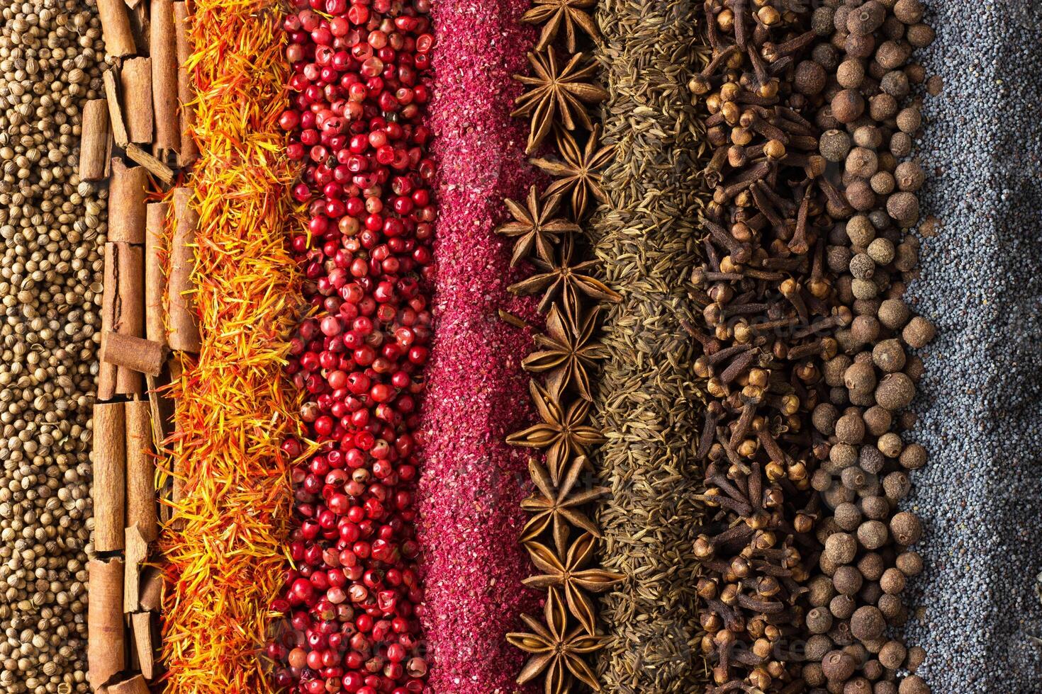 Spices and herbs background. Different seasonings are scattered in stripes color. photo