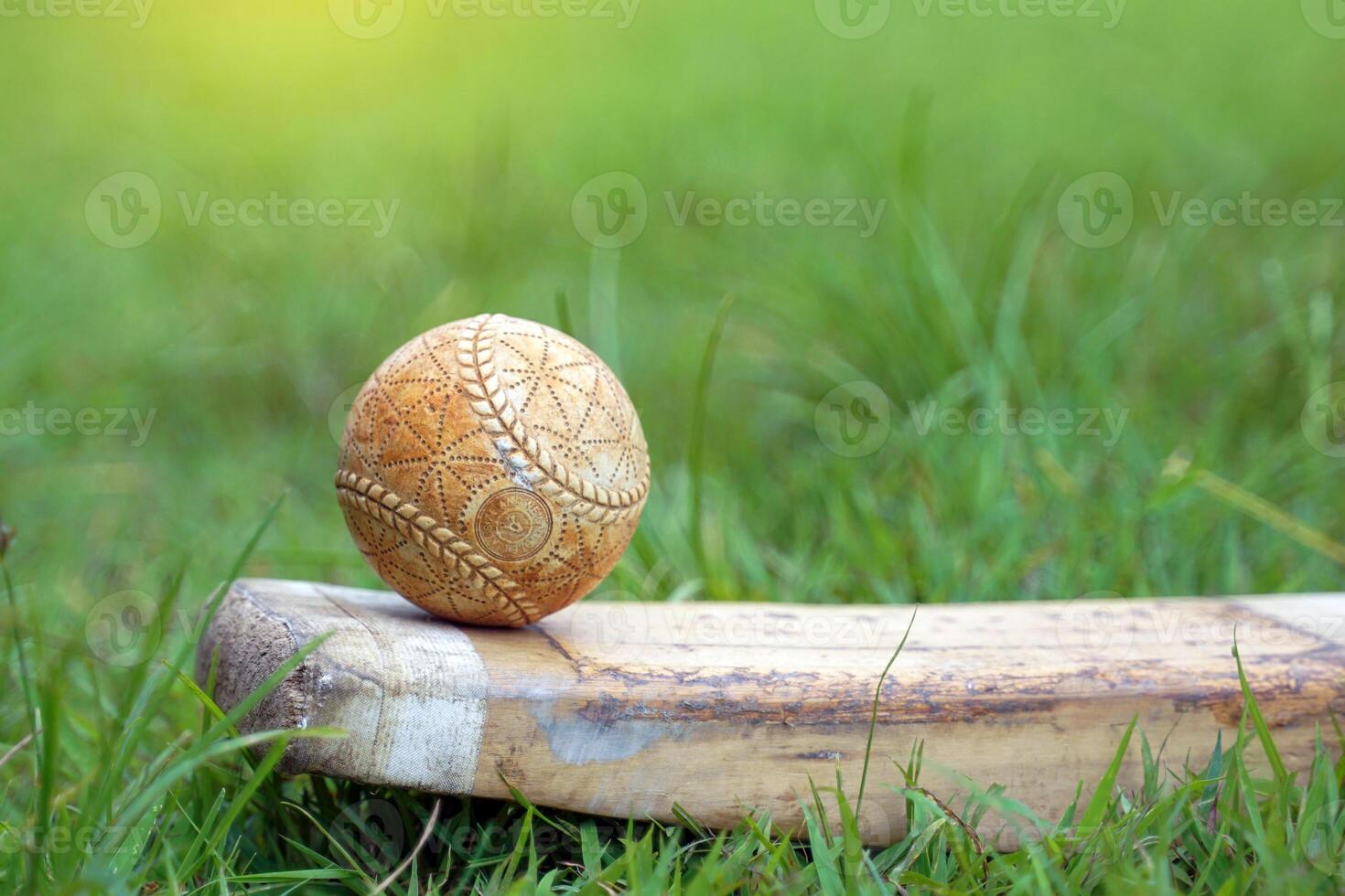 Cricket ball and cricket bat placed on glass floor with grass background. Soft and selective focus. photo