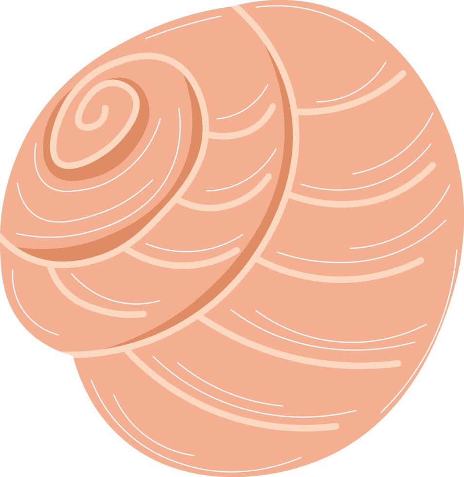 Ocean-Inspired Shell Graphics vector