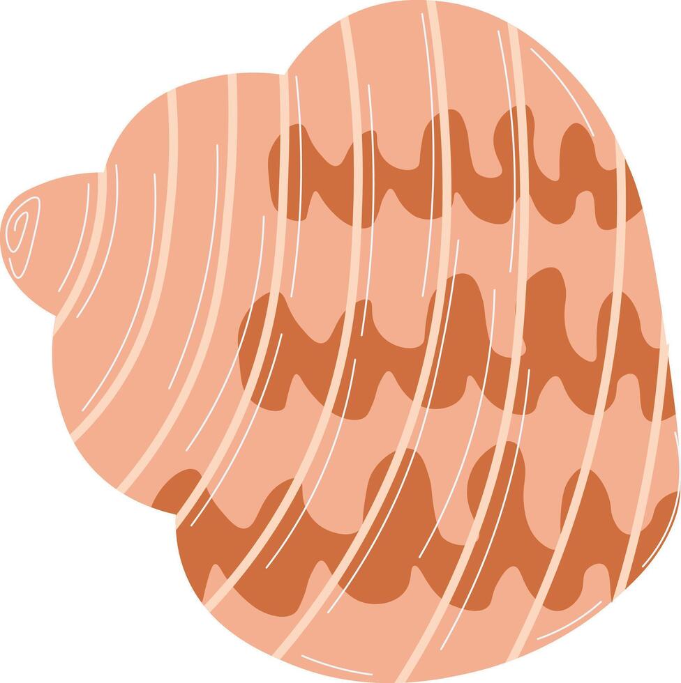 Nautical Shell Graphics vector