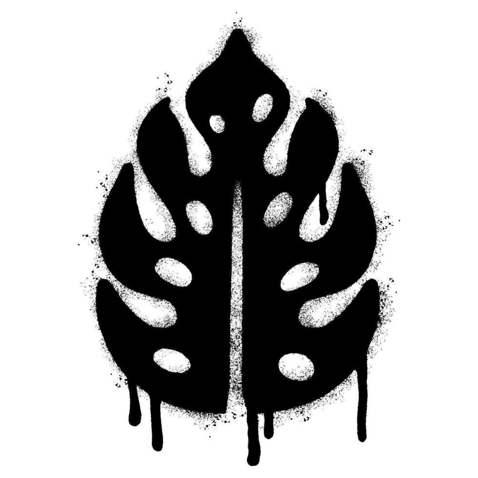 Spray Painted Graffiti monstera leaf isolated on white background. vector