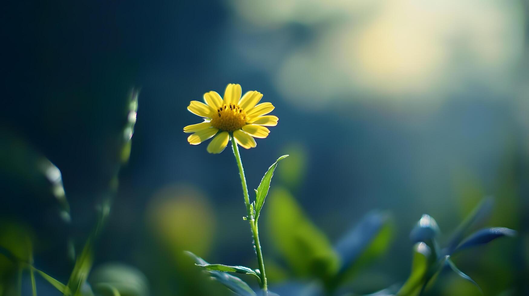 A yellow flower is in the foreground of a green field photo