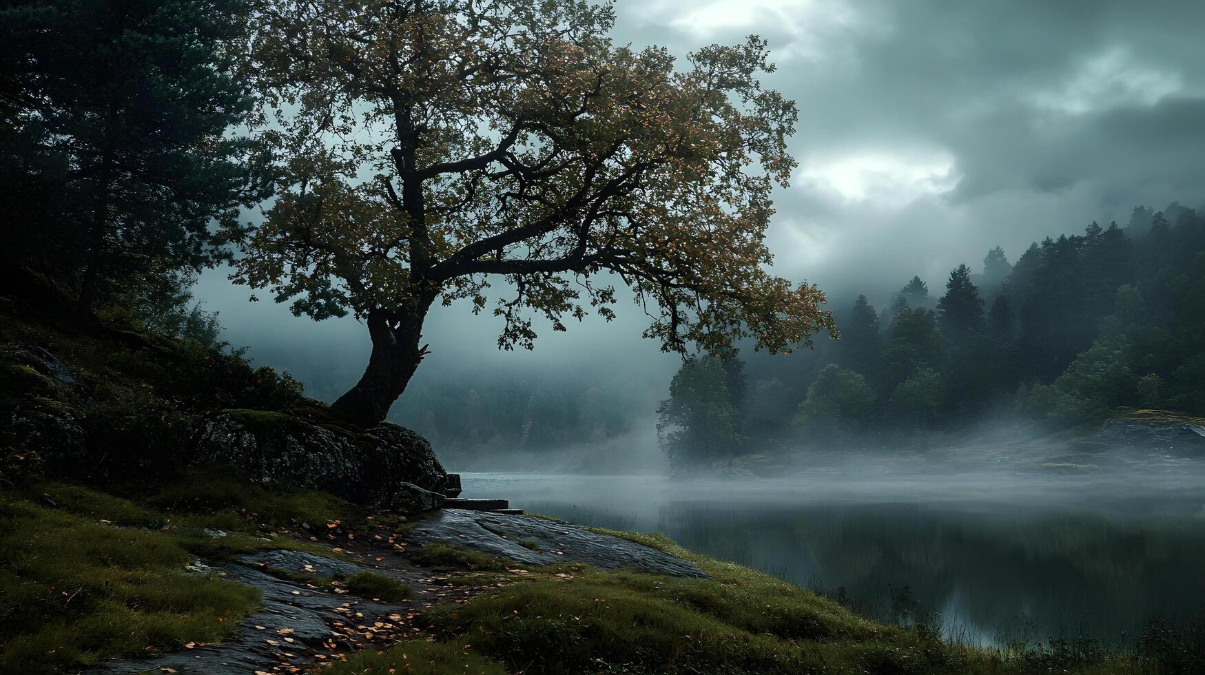 A tree stands alone in a forest with a body of water in the background photo